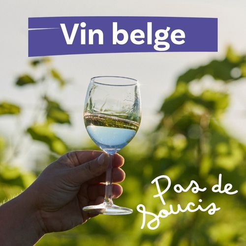 Succès garanti avec Pas de Soucis : un vin blanc belge.